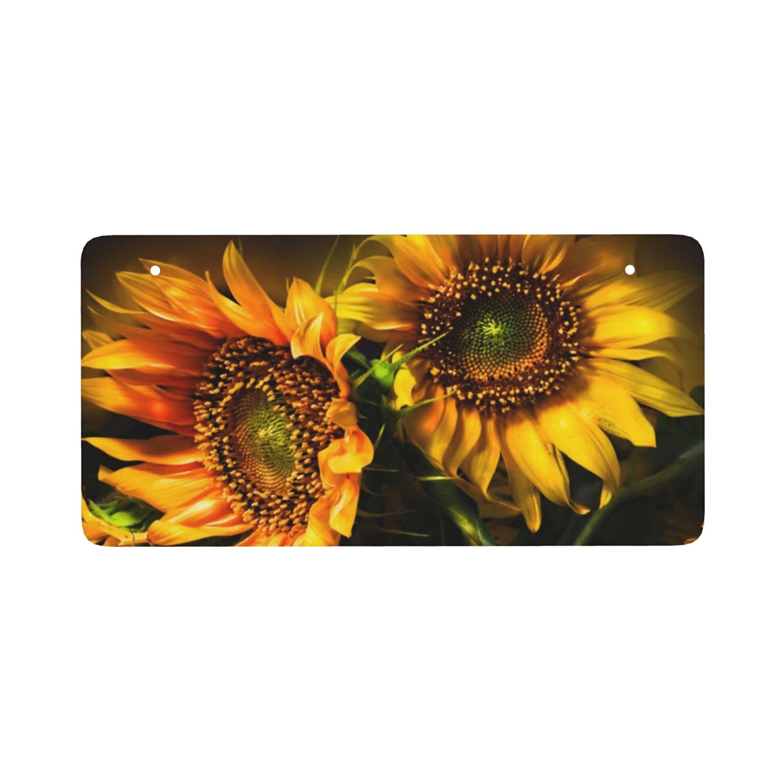Amazon Co Jp オレンジ ひまわり 壁紙 表札 玄関 おしゃれ 名入れ ギフト 屋外 吊り下げ 創意 戸建て 玄関用 屋号 ドア 装飾的な吊りボード 絵柄 文字の配色を自由 装飾 簡単取付け 看板 長方形 30 15cm Diy 工具 ガーデン