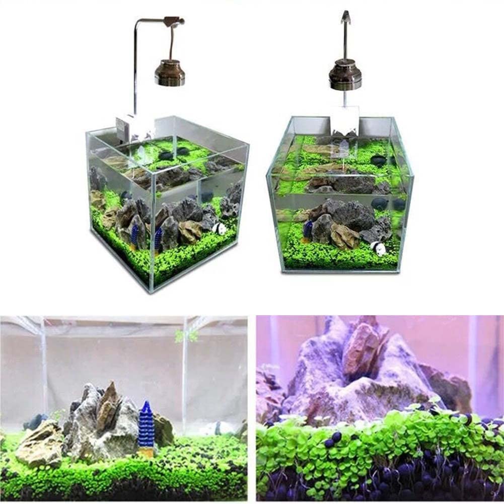 Semi Piante Acquatiche Per Acquario - Erba Verde Per Tappeto Decorativo, Busta Con Semi Per Acquario - Foto 2