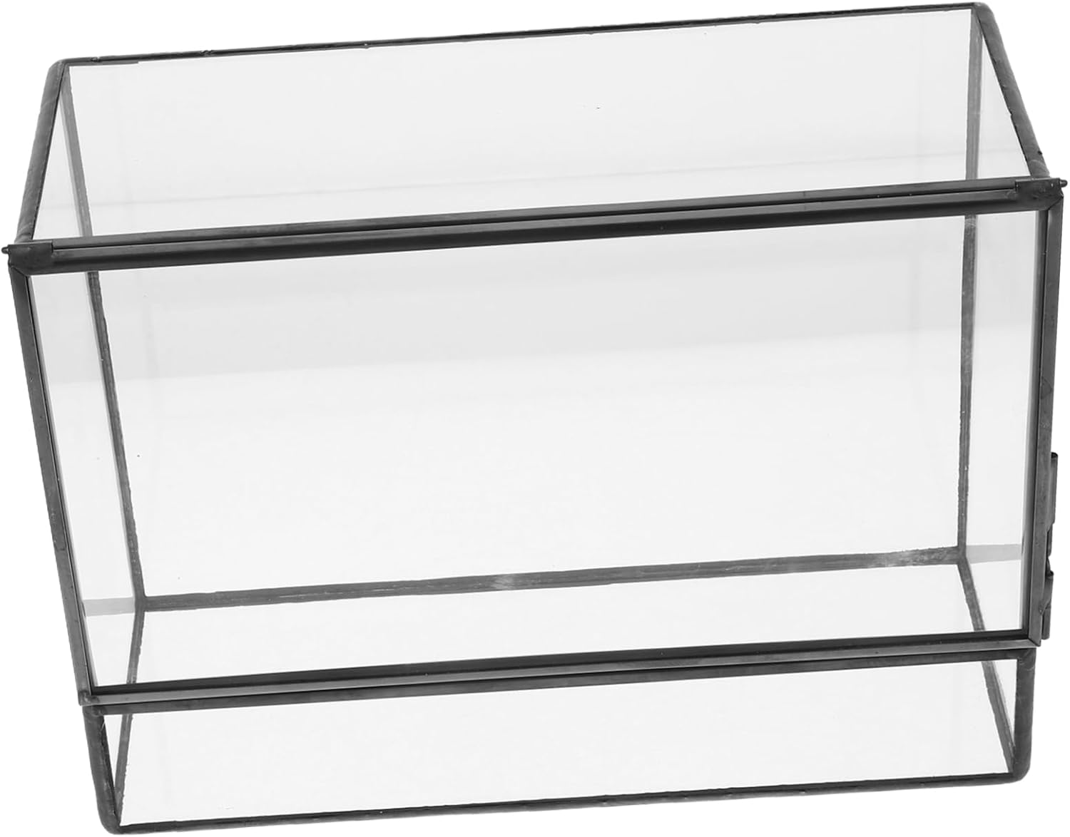 ibasenice Geometric Glass Terrarium for Miniature Landscapes Desktop Plant Holder for Moss Succulents and Indoor Decor