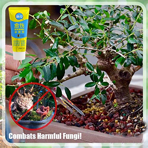 Bellelove Tree Pruning Cement Bonsai Cut Paste Tree Pruning Cement