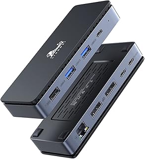 USB C Dock Dual DisplayPort 4K@60hz Dual Monitor Docking Station, Multiport Adapter with 2 DP, 4 USB, Gigabit Ethernet and 100W PD Port, for Dell/Lenovo/Hp/Surface/MacBook (with 3.28ft USB C Cable)