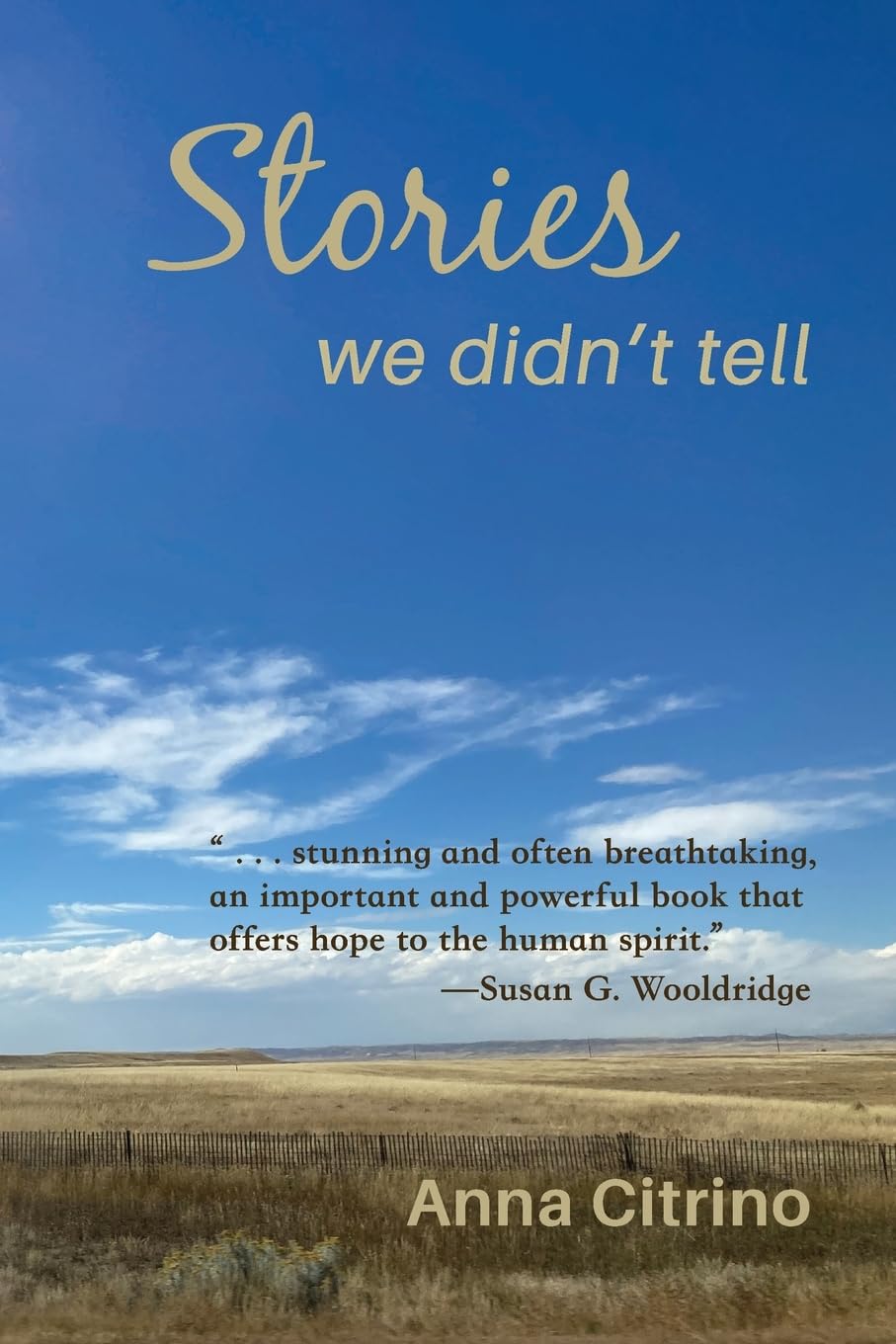 Stories We Didn't Tell