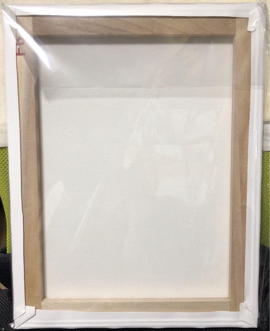 Amazon.co.jp: ももこ 神絵祭 版画展 キャンバスアート 40cm×32cm 