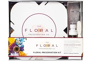 Flower Drying Kit for Artistic Creations: A Path to Preserve Floral Beauty