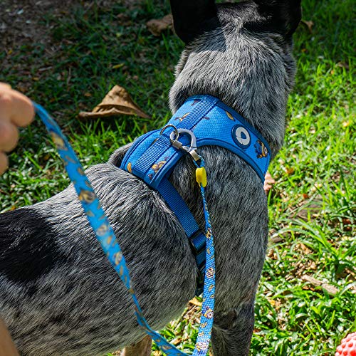 Guia Para Cachorros dog27 De Acordo Com Coleira/Peitoral Bello P