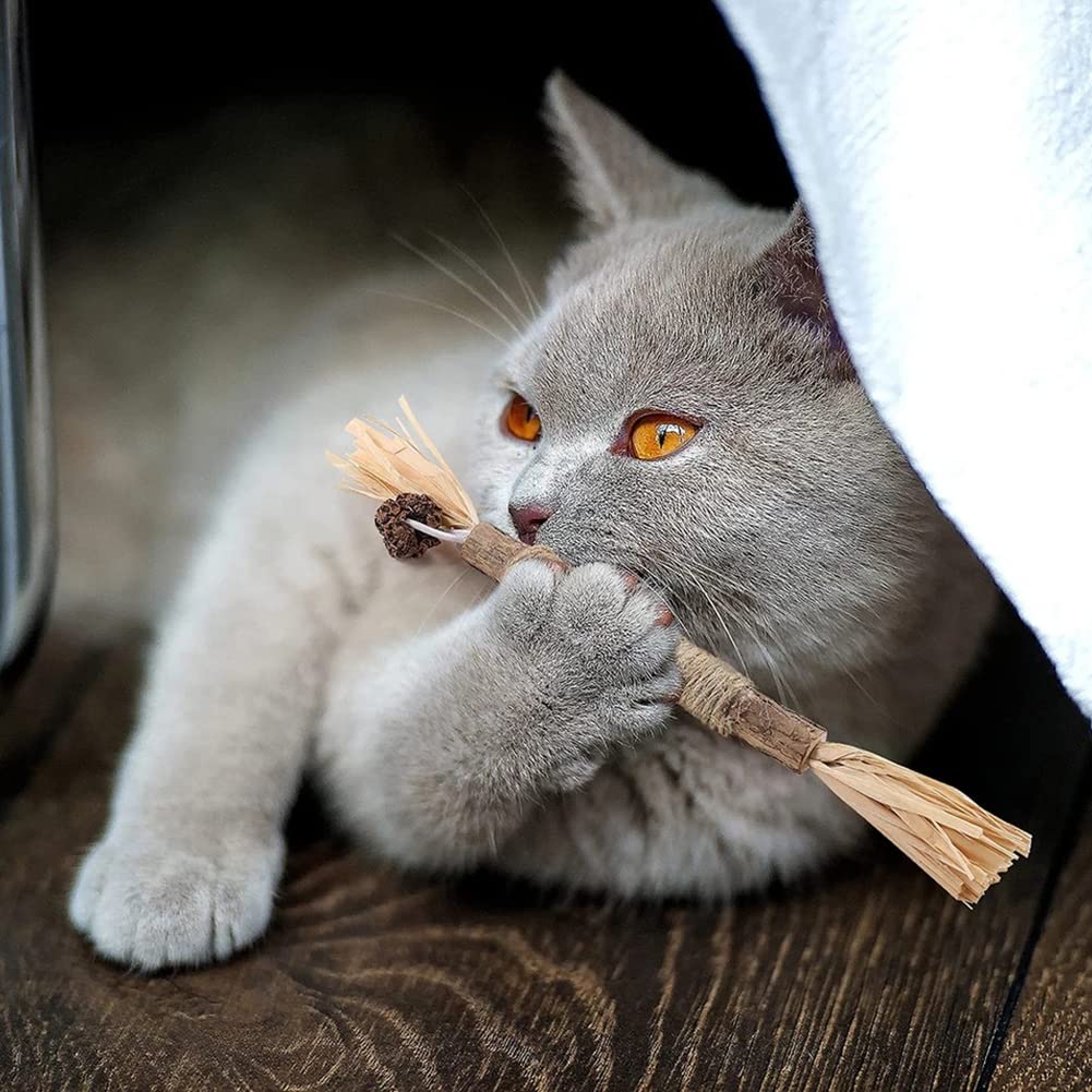 Bastoncini Erba Gatta Per Gatti - 10 Pezzi Matatabi Naturali, Per Denti E Digestione