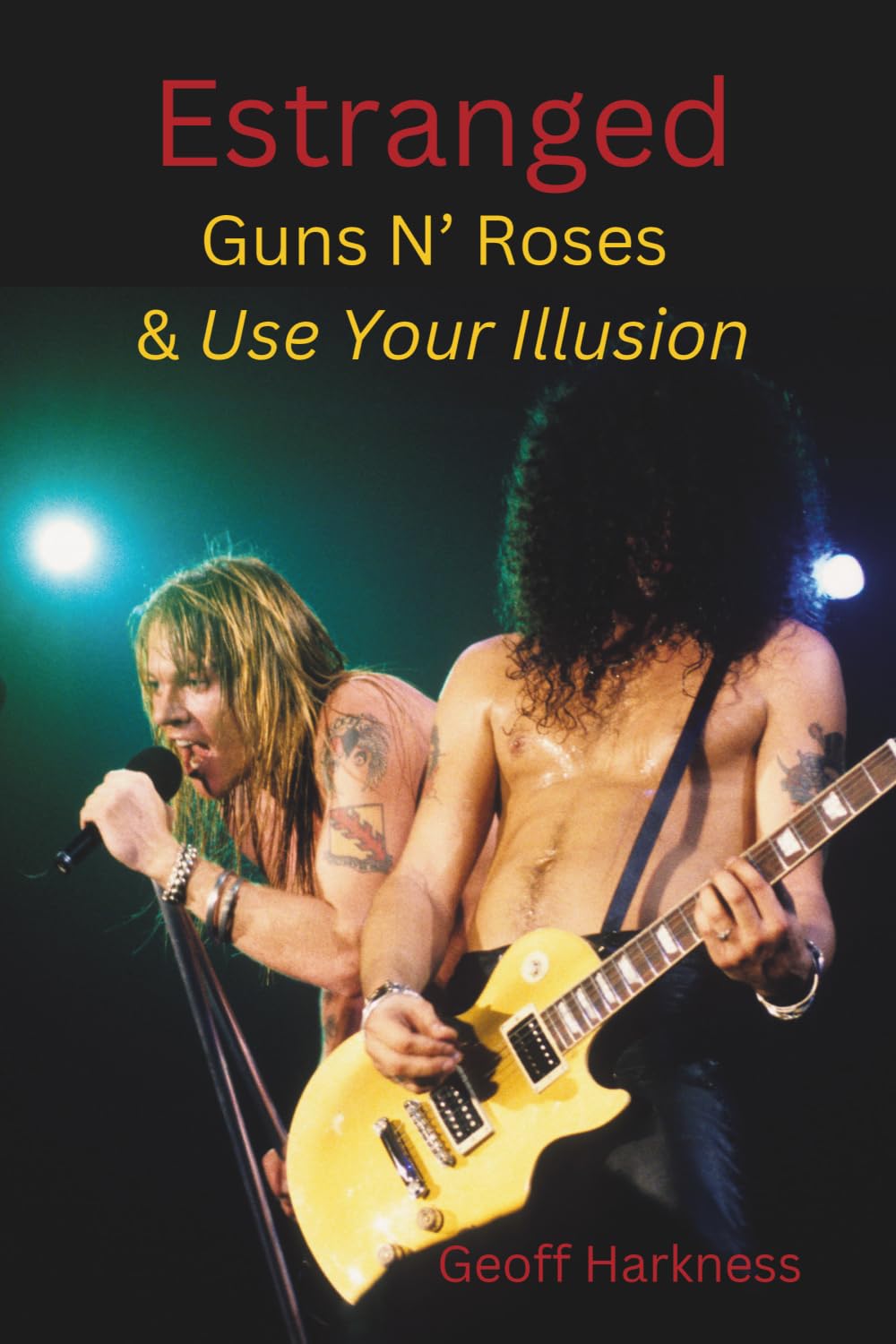 Estranged: Guns N' Roses & Use Your Illusion