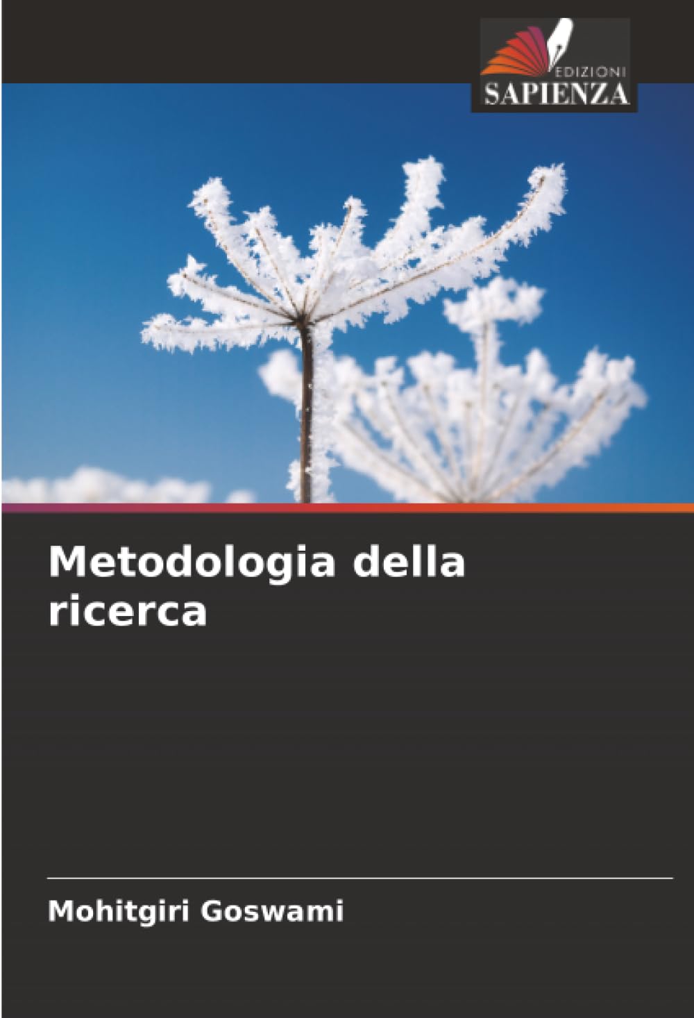 Metodologia della ricerca