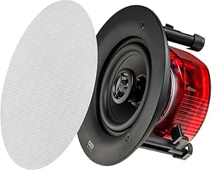 Amazon.com: OSD Black R43 in-Ceiling 4