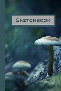 Blue Bokeh Mushrooms on a Mossy Forest Floor Sketchbook