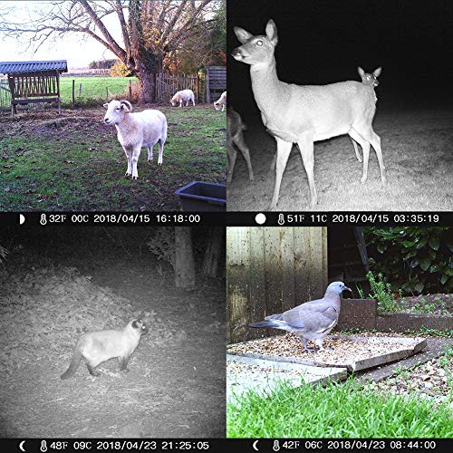 Victure Trail Game Camera 1080P 12MP Wildlife Camera Motion Activated Night Vision with 2.4 inch LCD Display IP66 Waterproof Design for Wildlife Hunting and Home Security