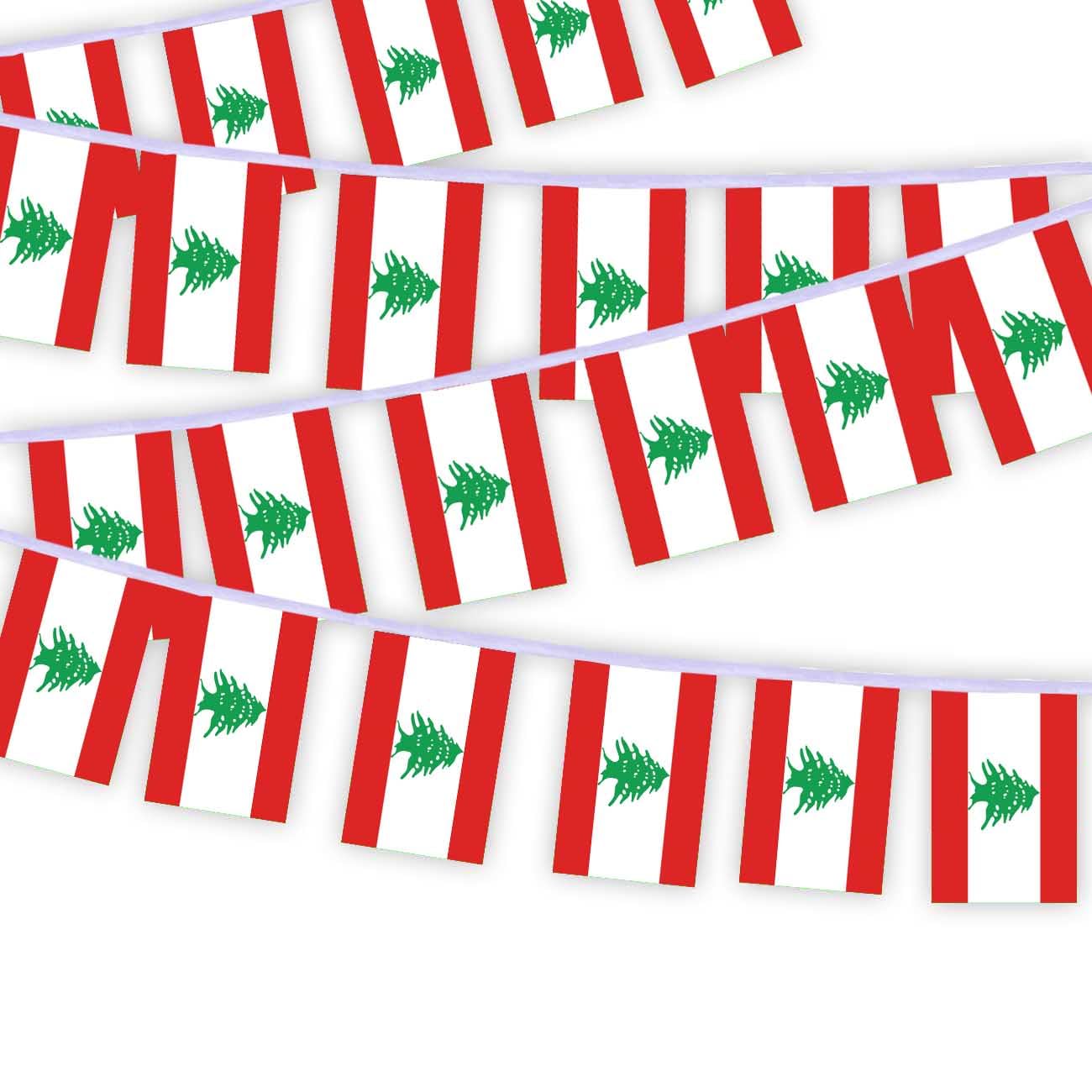 Pack of 30 Lebanon Flag Chain Flags, 10 Metres Lebanese People Rectangle Rope Flags, Decorative Banners Used to Decorate Courtyards String Lebanon