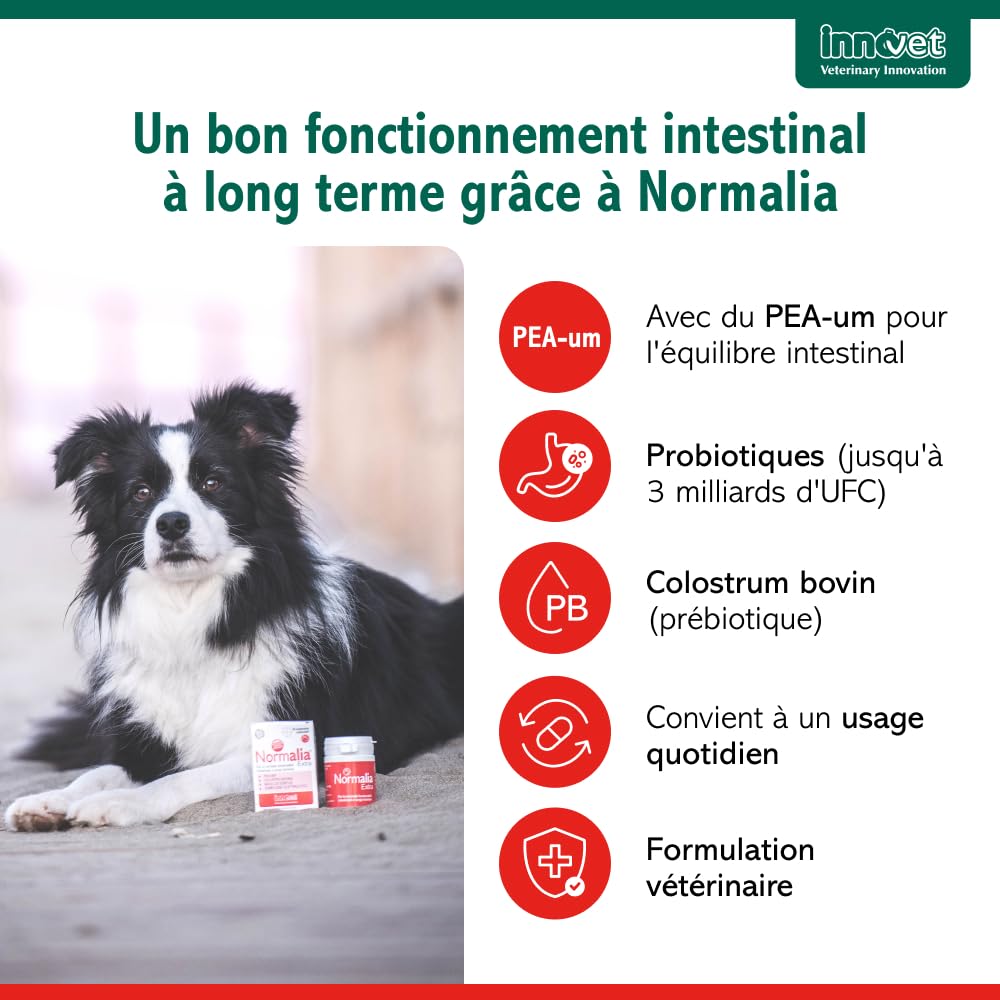 Innovet Normalia Extra Digestion Santé Intestinale pour Chien 30 comprimés