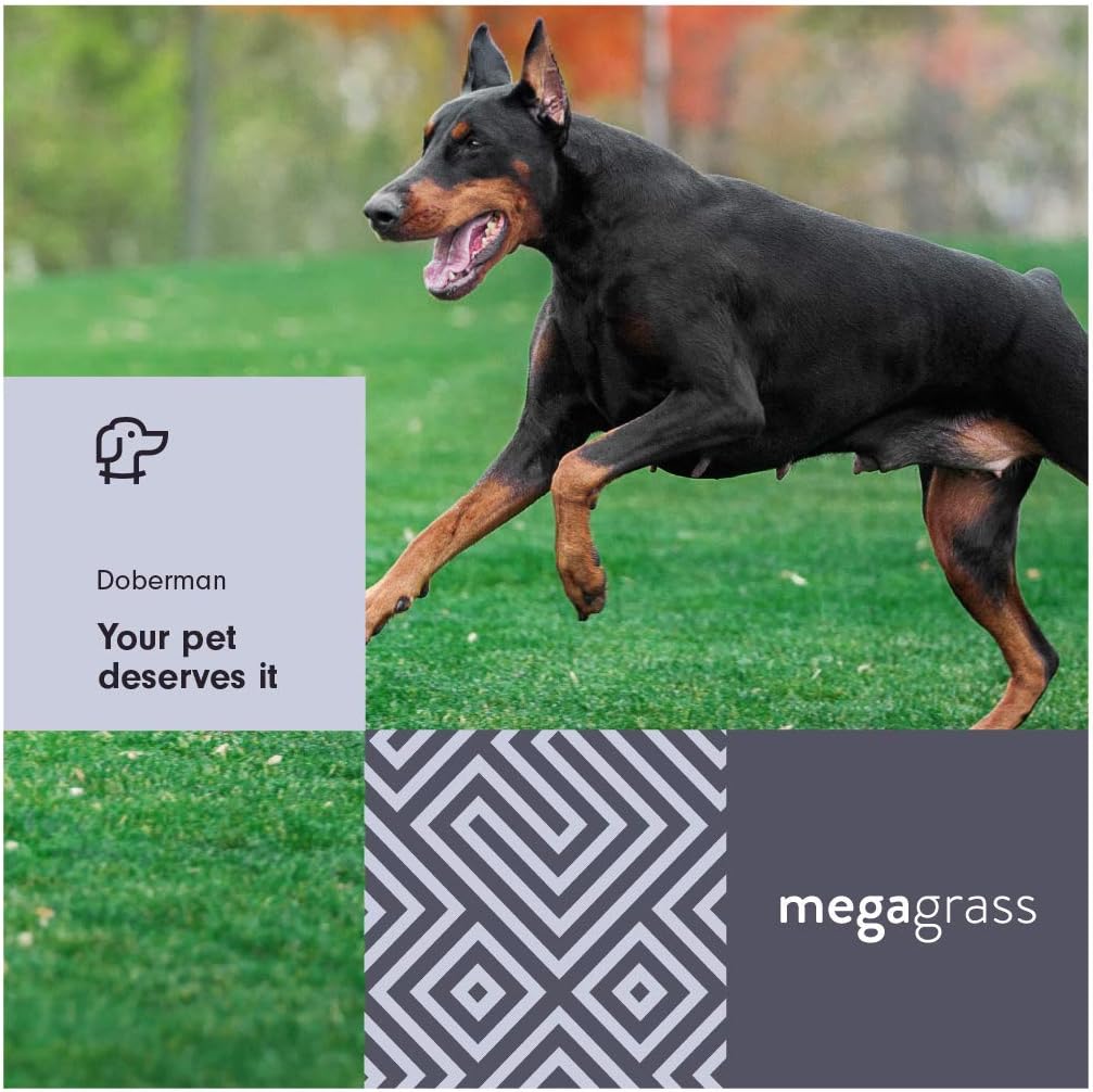 MegaGrass Doberman 15 x 4 Ft Artificial Grass for Large Pet Dog Potty Outdoor Indoor Green Faux Fake Grass Decor Synthetic Grass Mat Rug Pad Turf | 60 SqFt | 1.88" Tall Blades 92 Oz Face Weight
