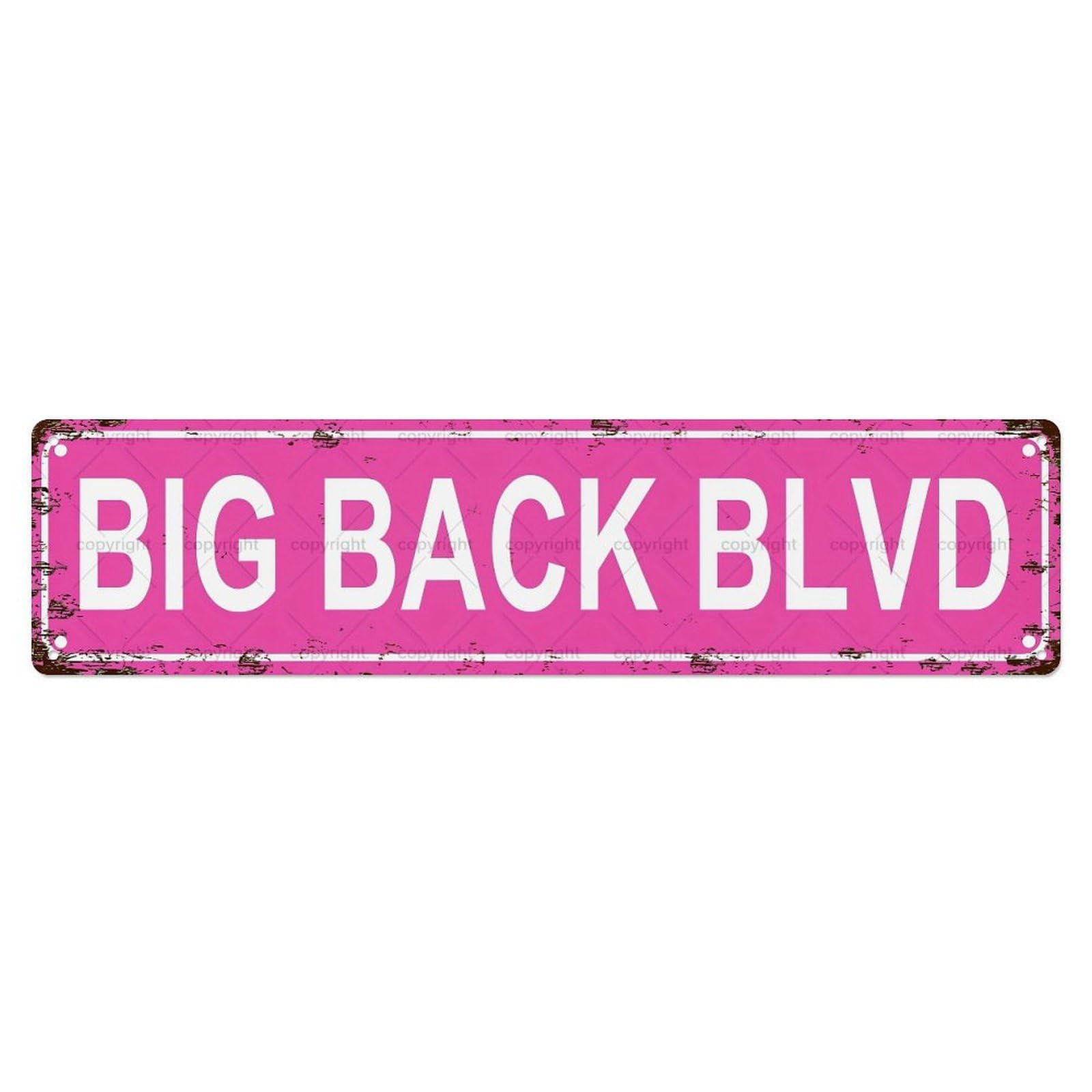 Jdyansheng Vintage Big Back Blvd Street Sign Tin Sign Metal Poster Metal Signs For Home Man Cave Bar Cafe Kitchen Laundry Room Wall Decorations 4X16 Inches