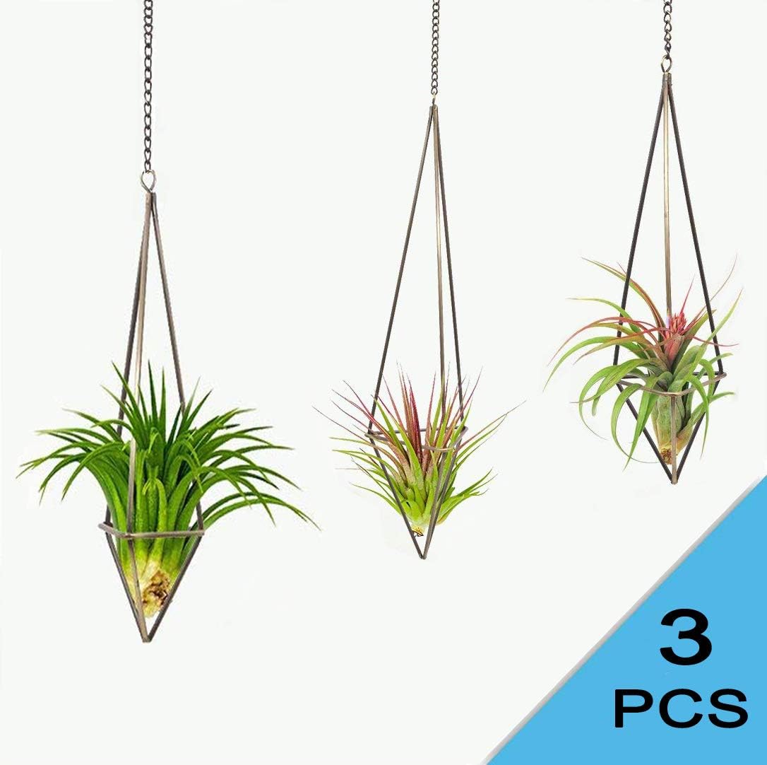 3 Pack Hanging Geometric Air Plant Holder for Tillandsia Air Plants Display/Planters/Hanging/Hanger/Fanger- Freestanding Ceiling Plant Decor - Flowers Rack (with Chains), Bronze