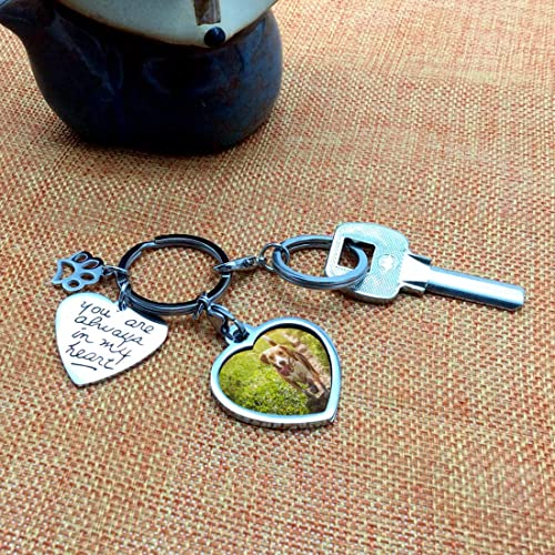 Pet Dog Remembrance Memorial Photo Frame Keychain Gifts, Pet Sympathy Present,You are Always in My Heart - Thumbnail 3