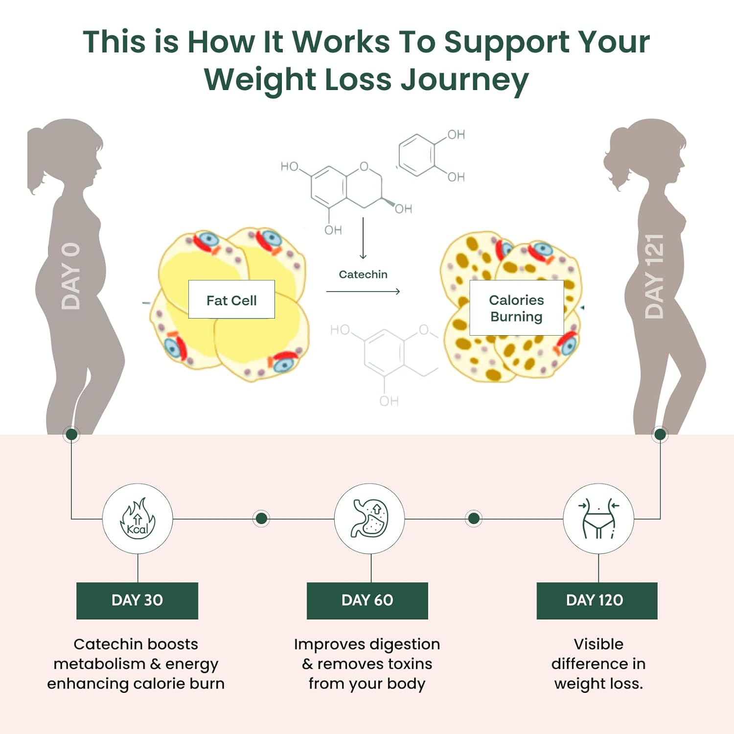 Buy Now Healofy Naturals Slimming Tea, Natural Fat Burn Formula, Vis... 5 Buy Now Healofy Naturals Slimming Tea, Natural Fat Burn Formula, Vis...