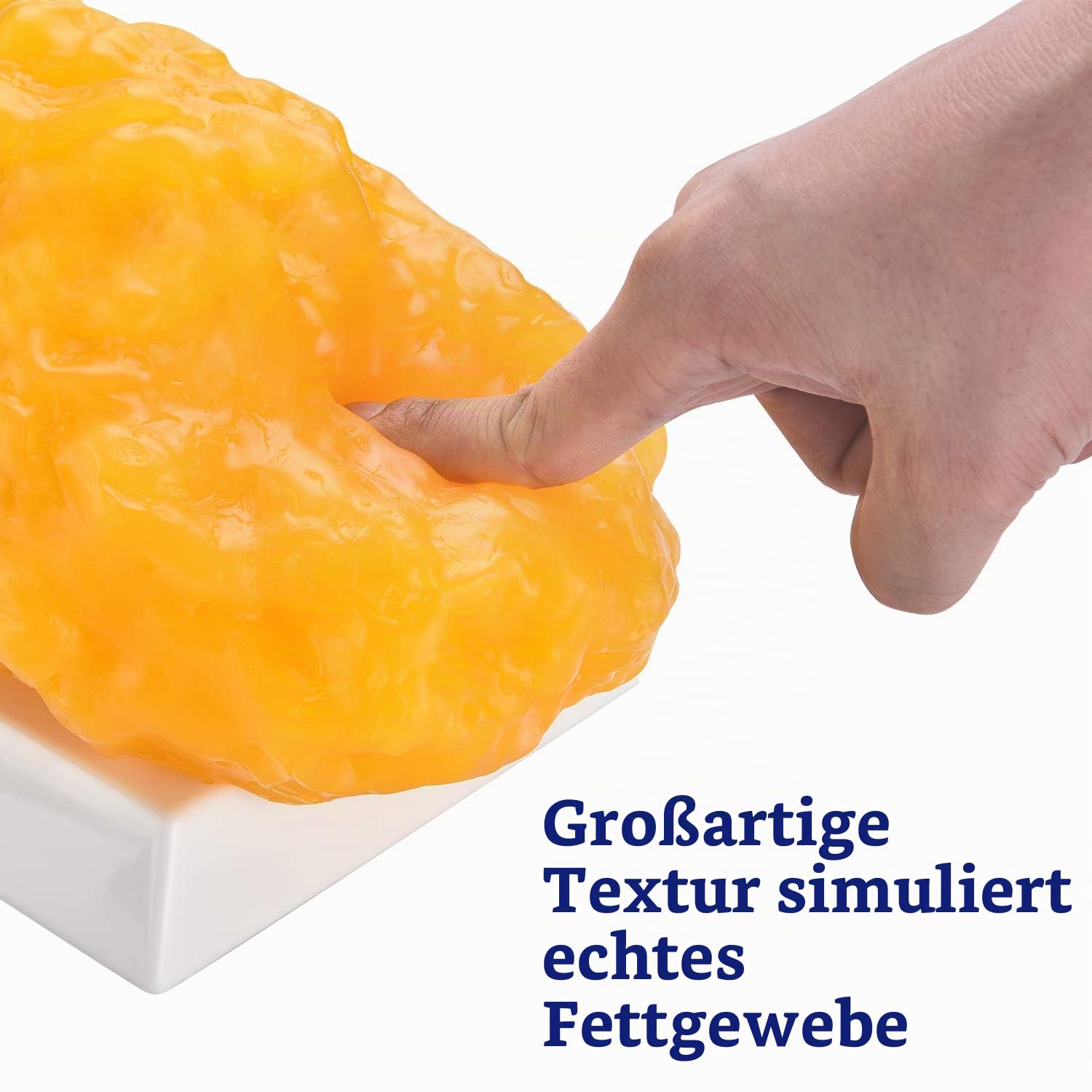 Authentische Nachbildung des menschlichen Körperfetts - 5 lb, Fit & Gewichtsverlust Motivation&Erinnerung, menschliches Fettgewebe-Demonstrationsmodell für Ernährungswissenschaftler