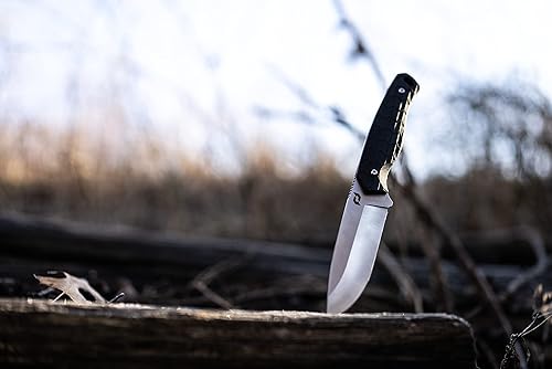 Miniatura 3 de Schrade Delta Class Exertion - Hoja fija de punto de caída de 8.5 pulgadas con hoja de acero AUS-10 de 4 pulgadas y agarre antideslizante para