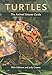 Turtles: The Animal Answer Guide (The Animal Answer Guides: Q&A for the Curious Naturalist)
