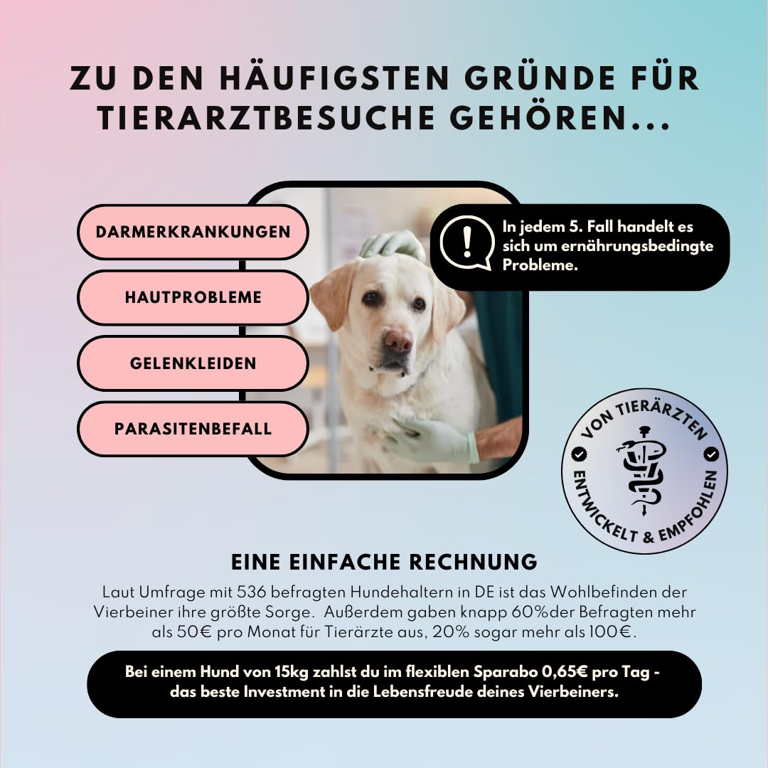 People who Kaer Polvere articolare per cani, 200 g, polvere naturale di conchiglia verde per piacere di movimento con curcuma, vitamine e glucosamina, mangime complementare per cani supporta funzioni