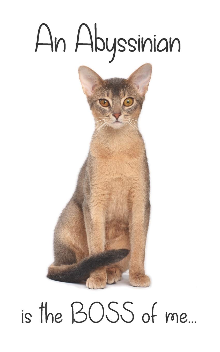 An Abyssinian Cat is the Boss of 5” x 8” Blank lined Journal  Notebook 120 College Ruled Pages (Mad about Cats)