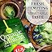 Organic Matcha Green Tea Powder (1 Lb) - 100% Pure Matcha for Smoothies Latte and Baking - Easy to Mix - Kosher Pareve