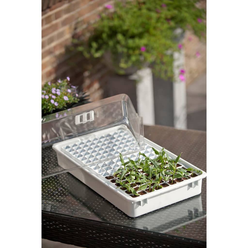 Kits de cultivo de plantas y hierbas - Plantas -Nature Propagator Set 55x31x22 cm 6020203