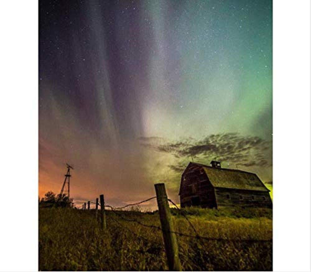 ymwenj Jigsaw Puzzle 1000 Pieces Flower Picture red Flower Flower Diamond 70x50cm Wooden 3D Creative Adult Children Educational Toys