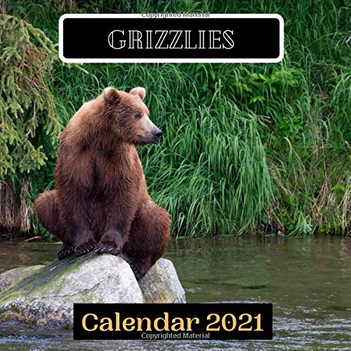 Preisvergleich Produktbild Grizzlies Calendar 2021
