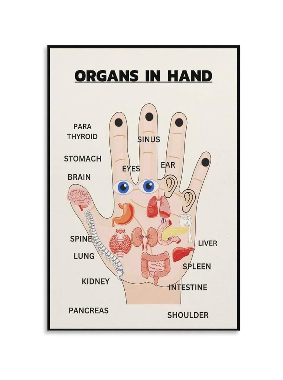 MDBJTCYZN Vintage Chinese Medicine Chart Organ Meridian Educational Metal Sign for Acupuncture Clinic Home Office Decor 8 X 12 in