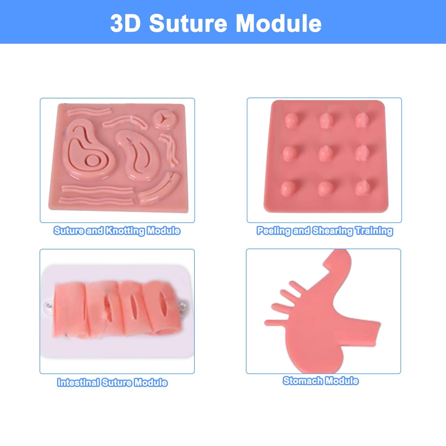 Laparoscopic Mannequin Phantom, Laparoscopic Surgery Simulator for Minimally Invasive Surgery Training, Realistic Practice Tool for Surgeons, Medical Students(Laparoscopy Model Set)