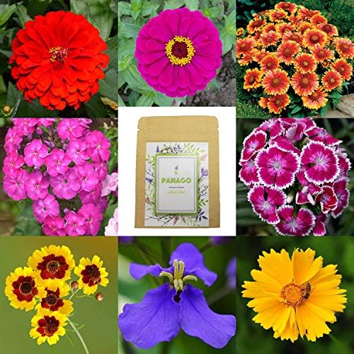 2000+ Wildflower Seeds Mixture, Perennials, Open Pollinated Flower Seeds for Garden Planting