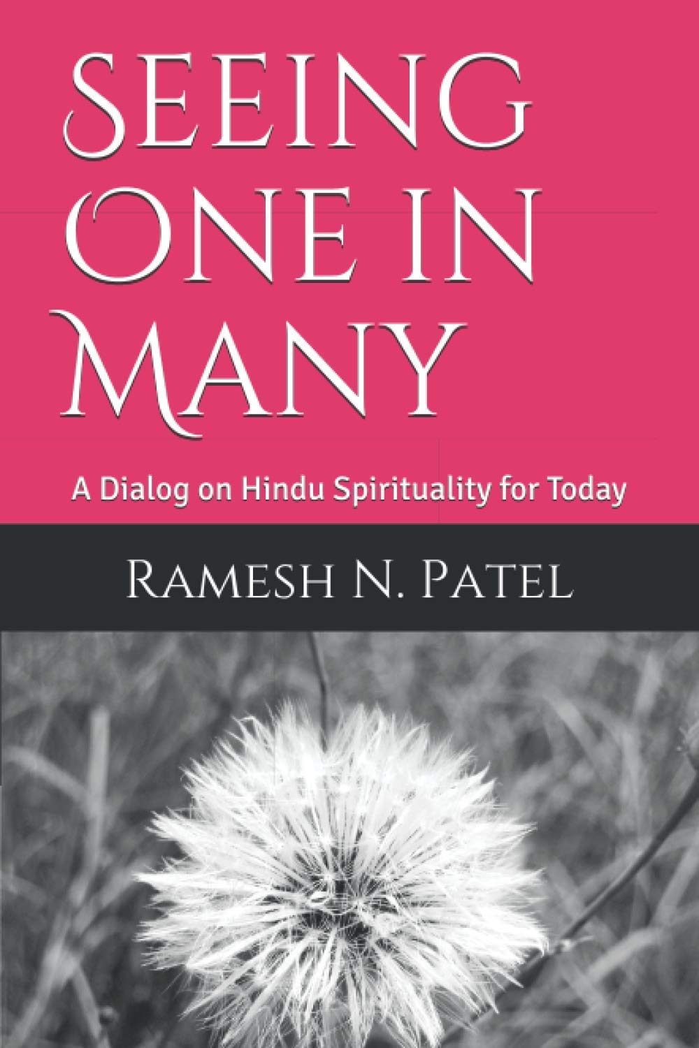 Seeing One in Many: A Dialog on Hindu Spirituality for Today