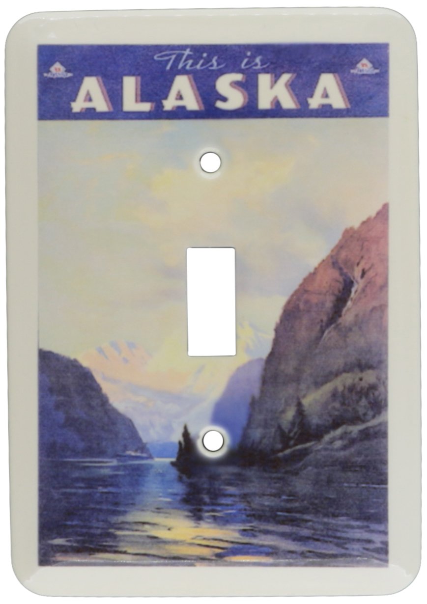 Interrupteur Alaska vintage 3dRose pour masquer les défauts muraux de peinture