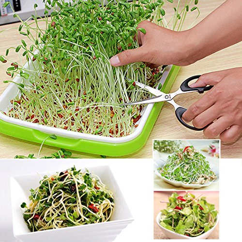 image for Seed Sprouter Tray, Yamix 2 Set Two-Tiered Seed Sprouter Tray Sprouter