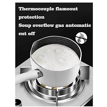 Amazon.com: THEGA Gas Stove - 7.2KW Stainless Steel Gas