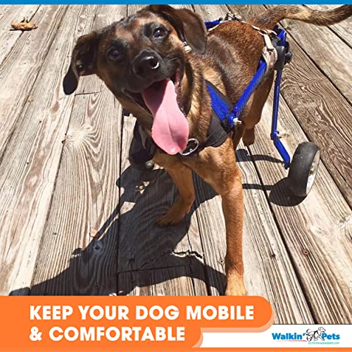 Dog Wheelchair - Xs For Mini/Toy Breeds 2-10 Pounds - Veterinarian Approved - Dog Wheelchair For Back Legs #TOP2