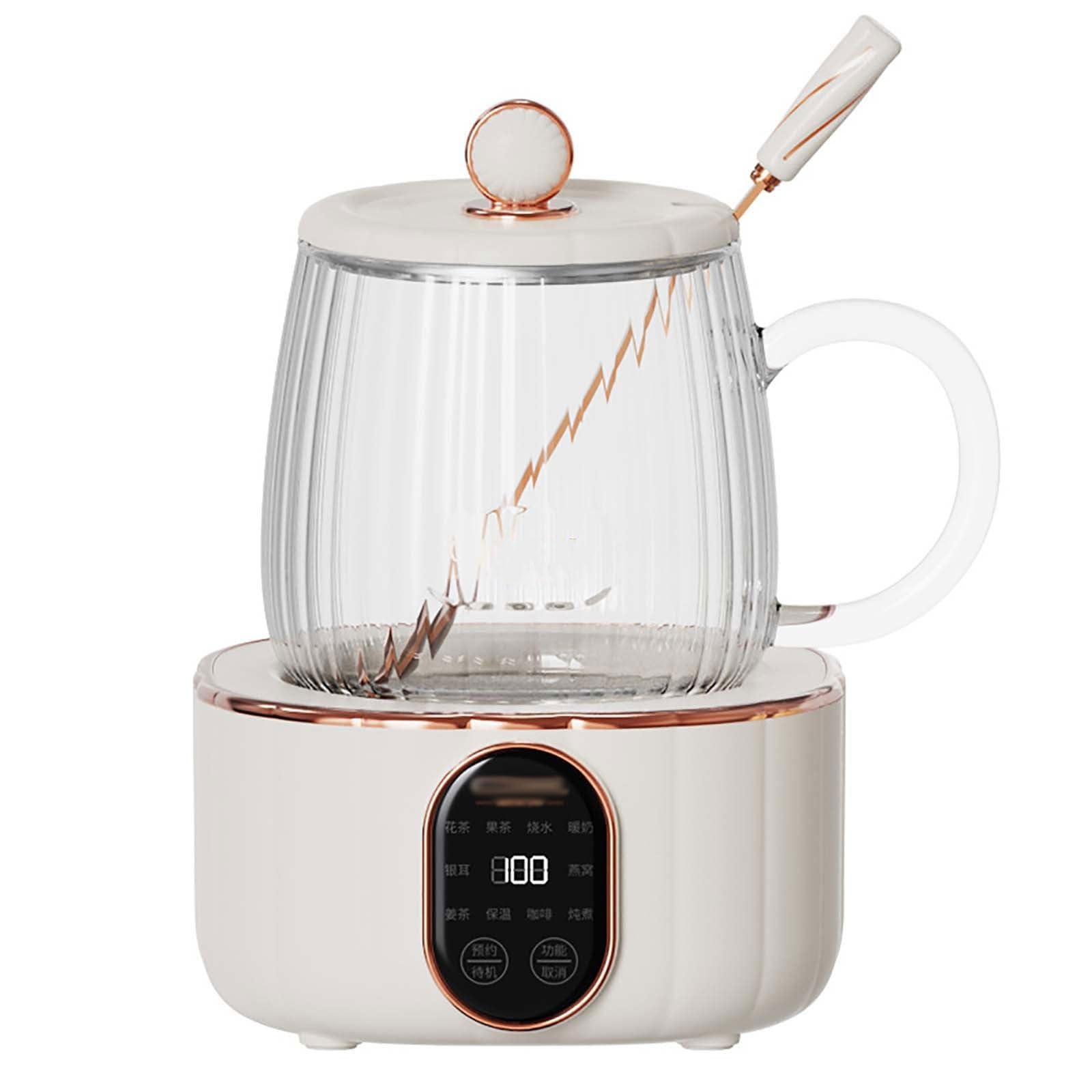 Petite bouilloire électrique 600 ml en verre pour éviter le gaspillage d'eau