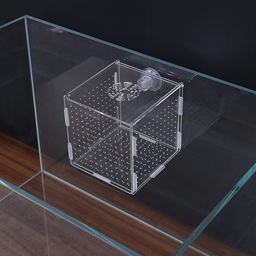 Miniatura 43 de Caja de cría de peces, caja de incubadora de incubadora, cajas de cría de peces de acuario, cajas divisorias para eclosionar, accesorio