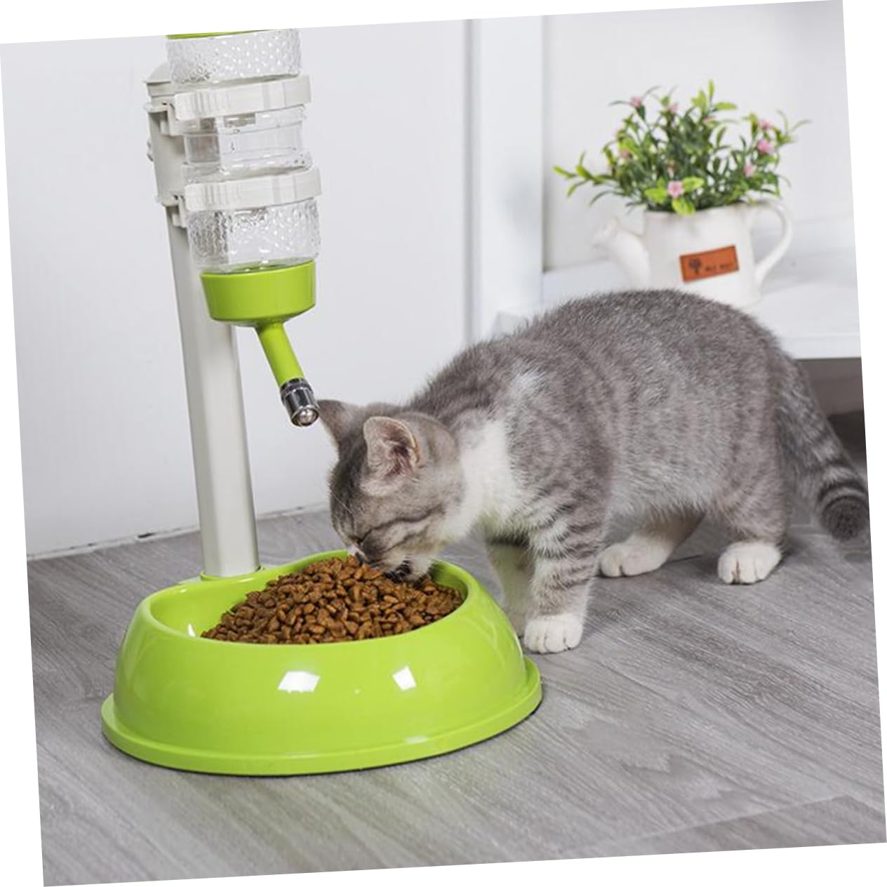 WOONEKY 1pezzi Distributore Cibo Gatti Automatico Mangiatoia Per Gatti Ciotola Per Cibo Forniture Per Animali Domestici Strumento Per Bere Animali Domestici Distributore Acqua