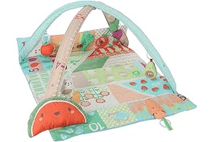 Skip Hop Baby Gym, Farmstand Grow & Play