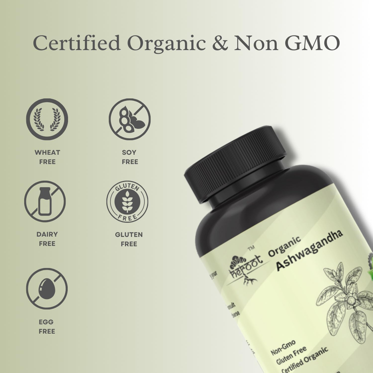 Organic AshwagandhaCapsules Pure Organic Ashwagandha Powder and Root Extract - Stress Relief, Mood Enhancer (Pack of 60 Capsule) - Image 5