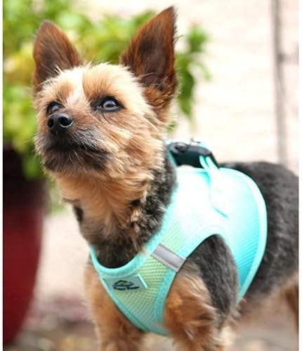 Vista 135 de DOGGIE DESIGN American River - Arnés para perro de la colección ombré, color frambuesa (S (circunferencia de 13 a 16 pulgadas)