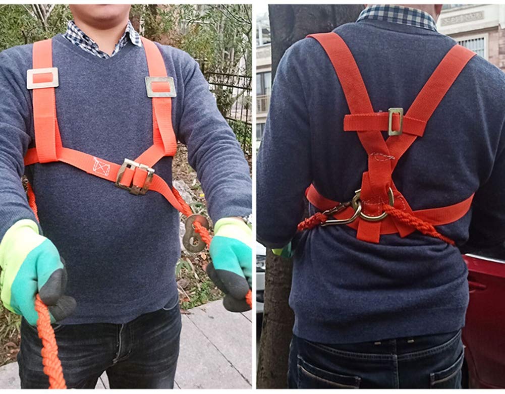 Pics D’escalade En Acier Réglables – Avec Harnais, Pour Grimper Aux Arbres, Cueillir Des Fruits Ou Chasser En Toute Sécurité !