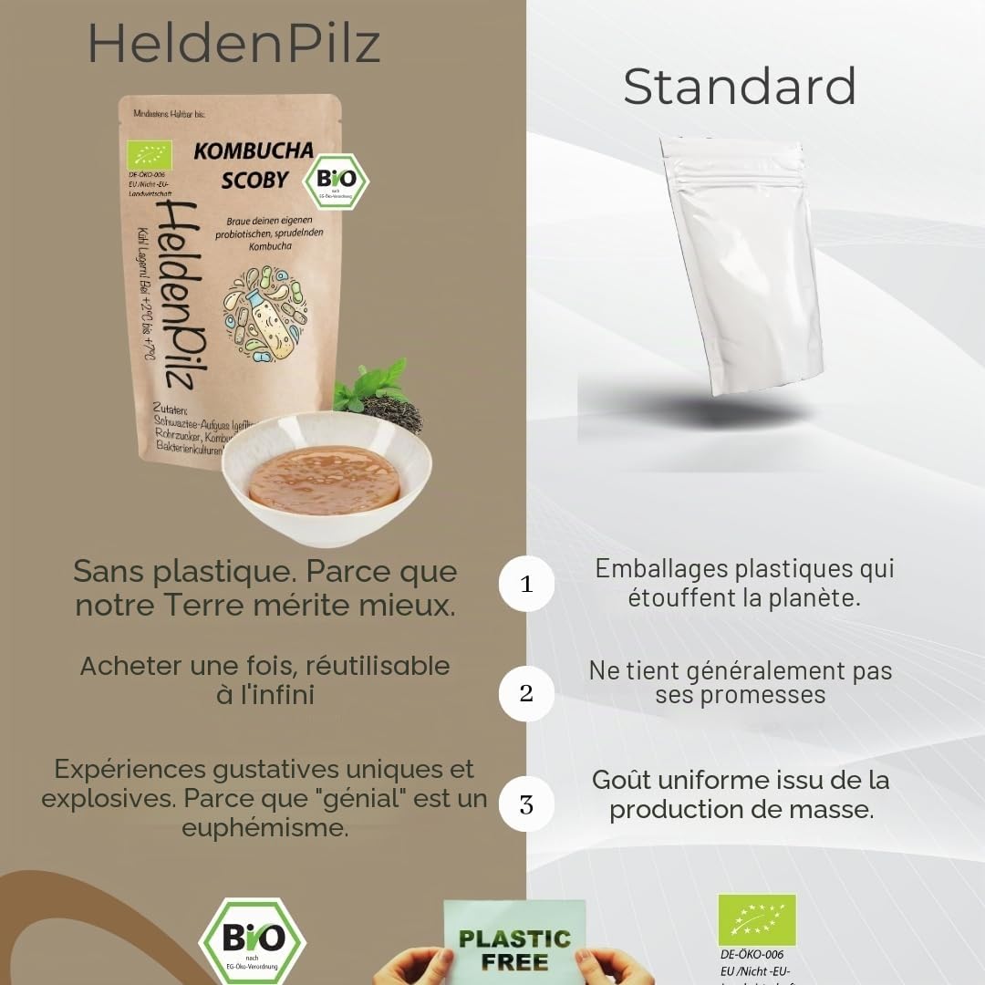 HeldenPilz® Champignon à thé bio Kombucha - Scoby vital et puissant avec liquide de racine | Pour 6 l de kombucha | Garantie de succès | 100 % naturel, durable
