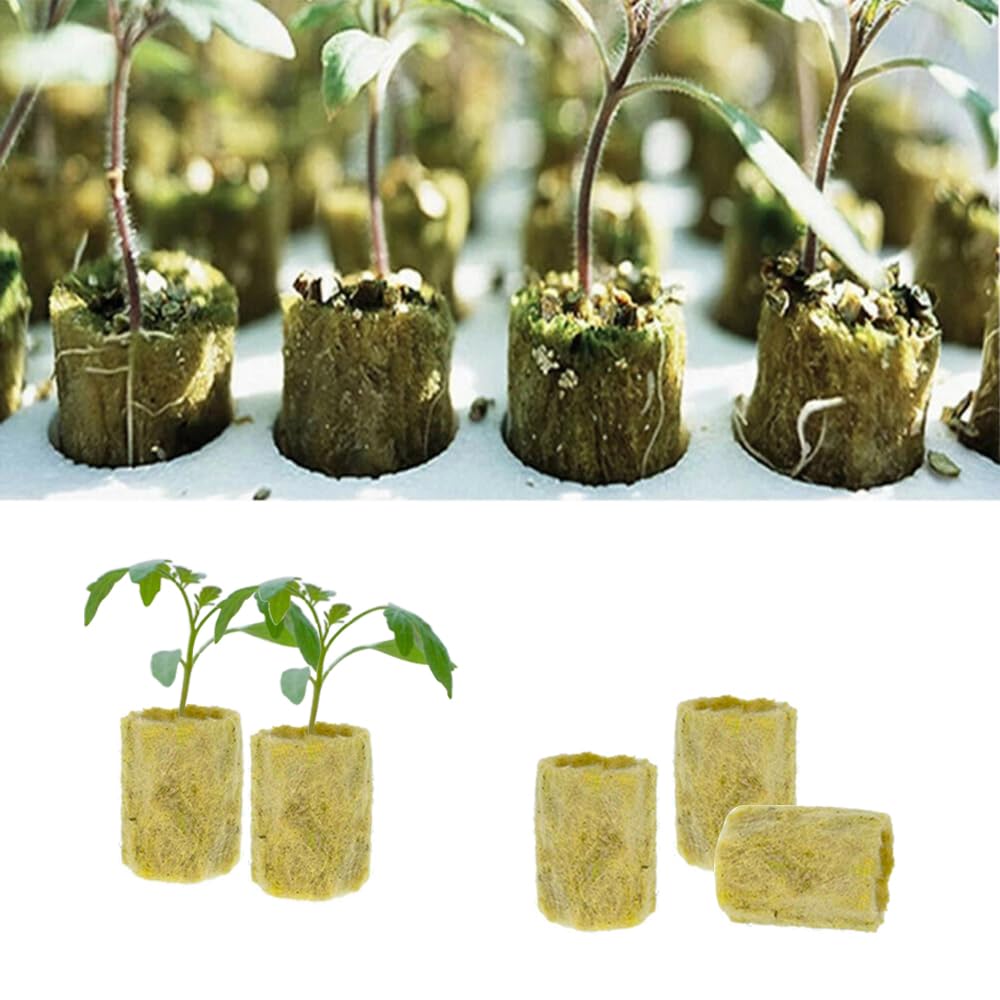 50 Cubi Di Lana Di Roccia Per Idroponica - Tappi Per Coltivazione Senza Suolo, Piantine E Cloni - Foto 9