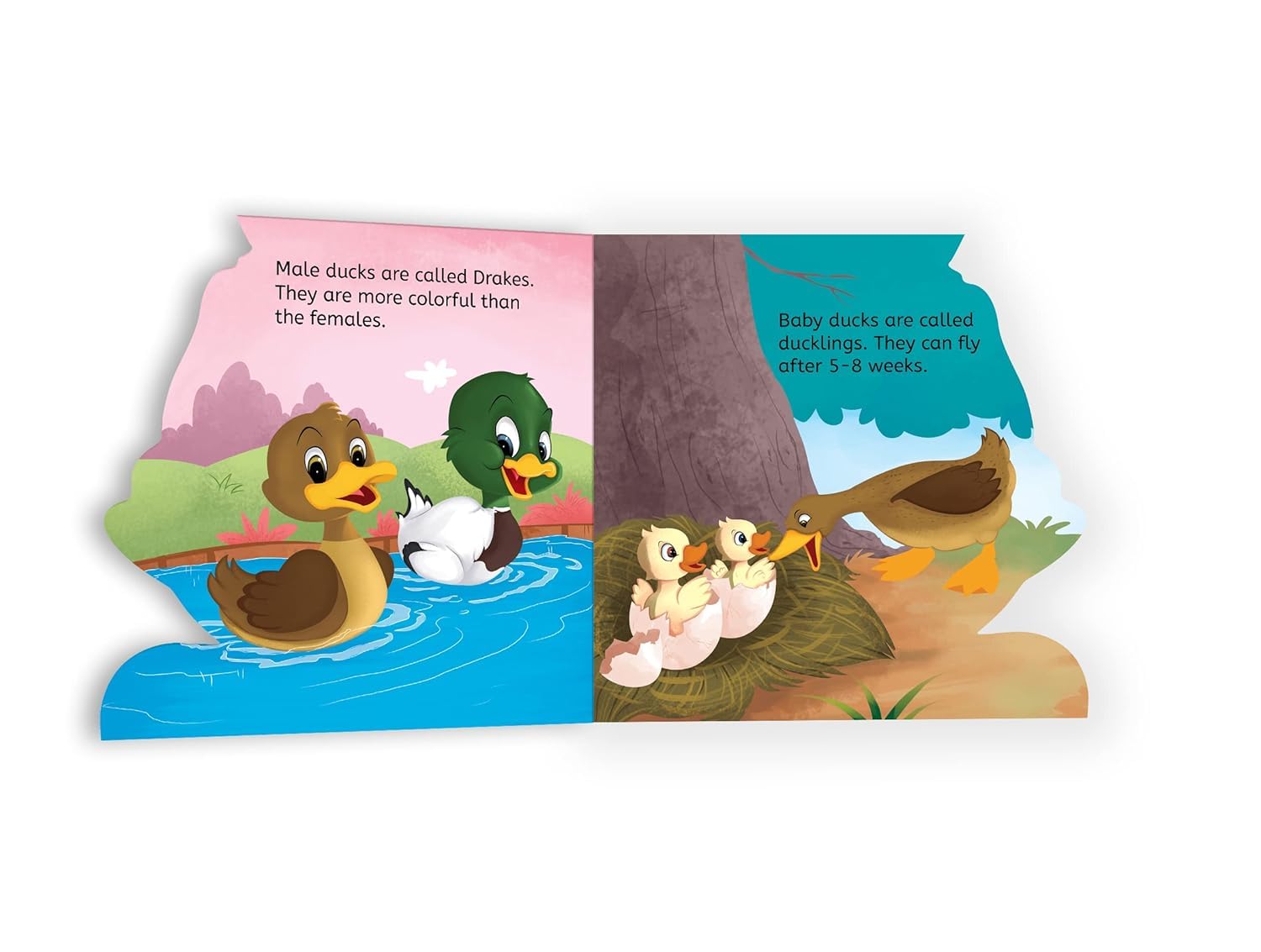 My First Shaped Board book - Duck, Die-Cut Animals, Picture Book for Children 3