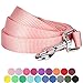Blueberry Pet Essentials Baby Pink Dog Leash for Medium Dogs | 5ft x 3/4